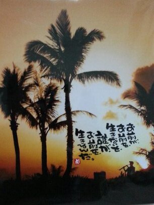 m1121y1122's profile picture. 