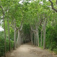 APTAReus (@aptareus) 's Twitter Profile Photo