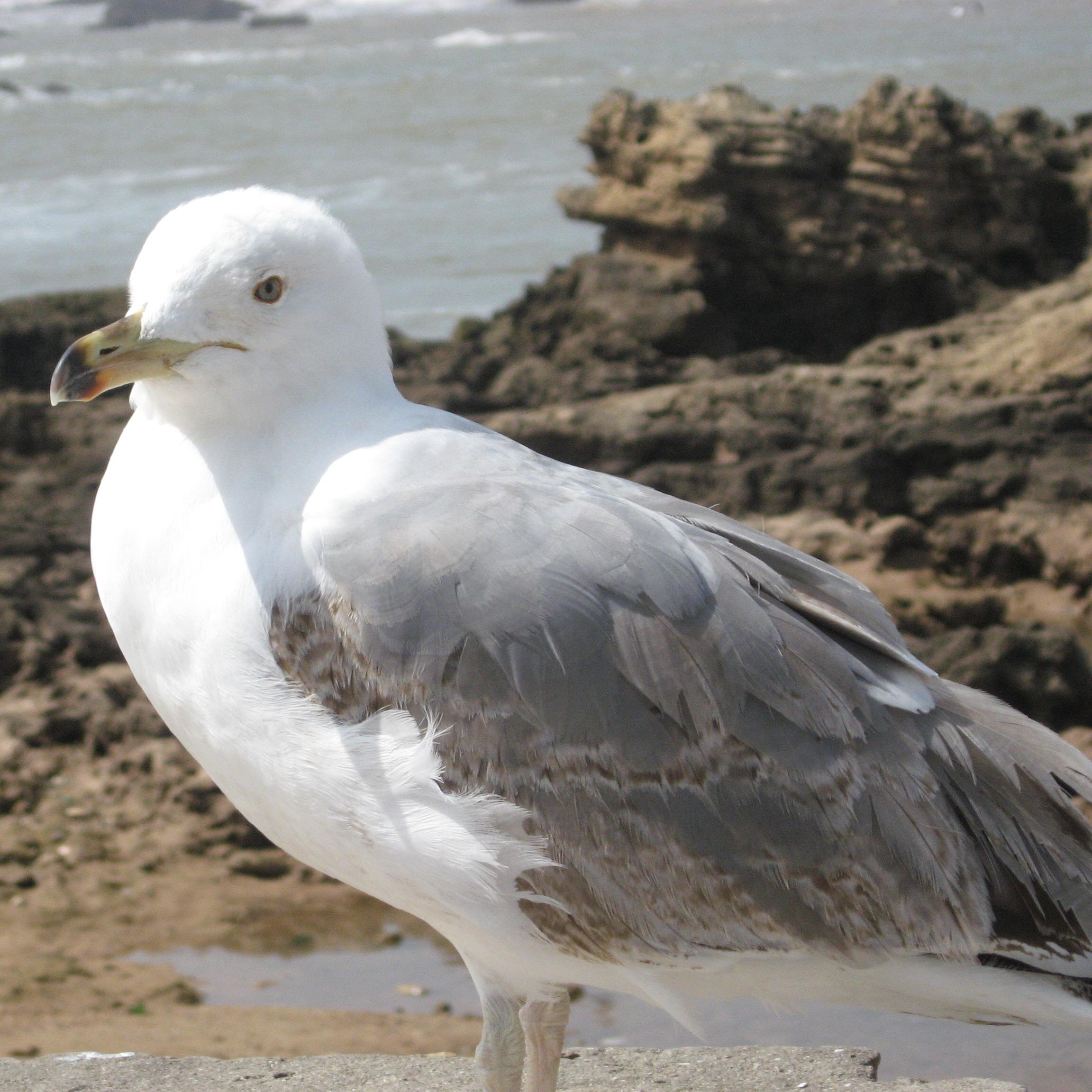 fronttechIT's profile picture. Kitengela  local business directory