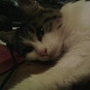 Camille Gary - @gary_camille - Twitter