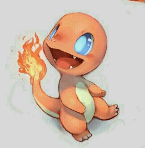 Pokémon tipo fuego♀// Me suelen confundir por un macho, pero no lo soy // @TrainerGreen_ mi entrenador // Mi sueño es llegar a ser un Charizard #AcademiaPokemon