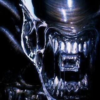 obcyvspredator's profile picture. 