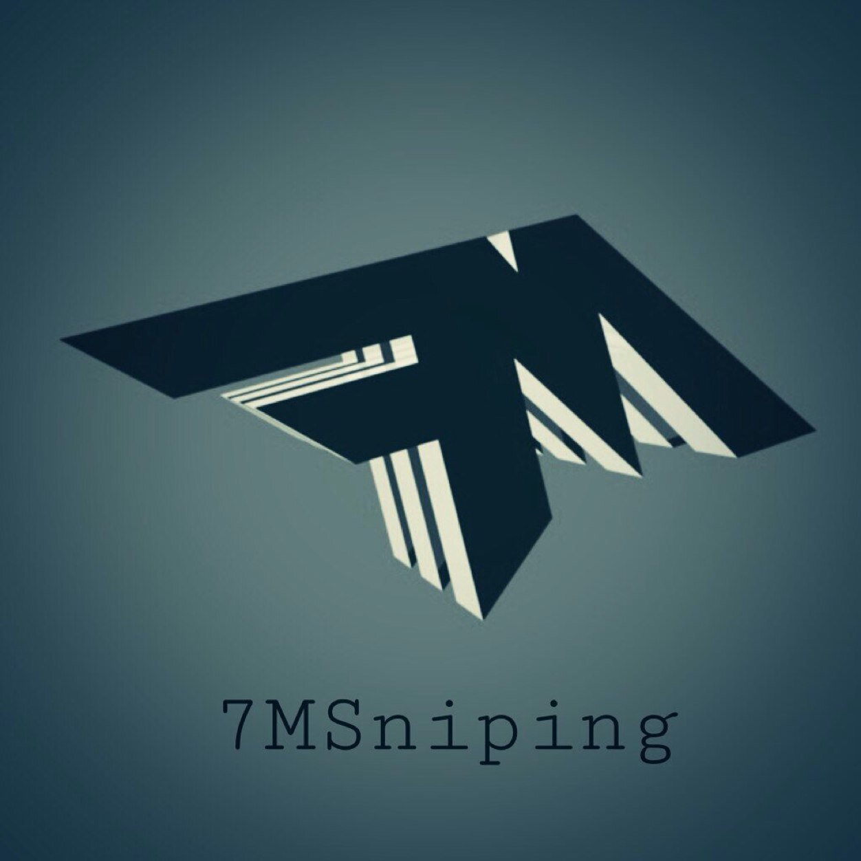7MSniping's profile picture. MLG sniping team. Looking to expand to youtube.