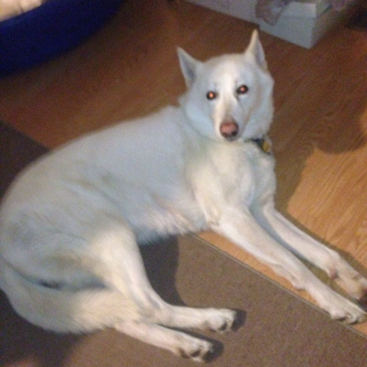 Lunsford91's profile picture. I Live in Wilmington, North Carolina. I was a chef by trade but have been hurt by a chiropractor and since then have been disabled. Currently trying to rehab.32