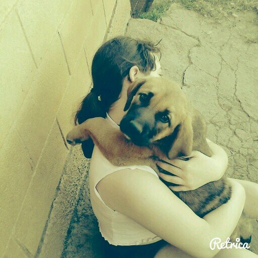 La amistad es para siempre