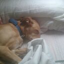 #Aroon# - @aaron20valverde - Twitter