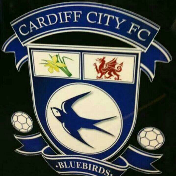 cardiff city fc will allways be blue