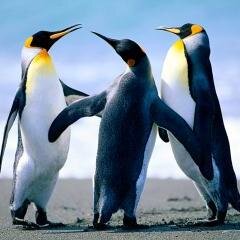 やっぱり「いいちこ」が一番 (SINCE 2013/2/8)