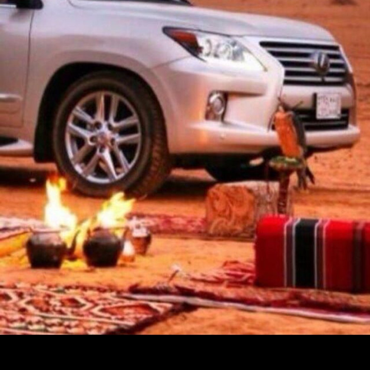 هلا بك