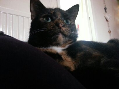 Laz1981's profile picture. 