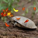 Briana Travis - @BrianaBlaineT - Twitter