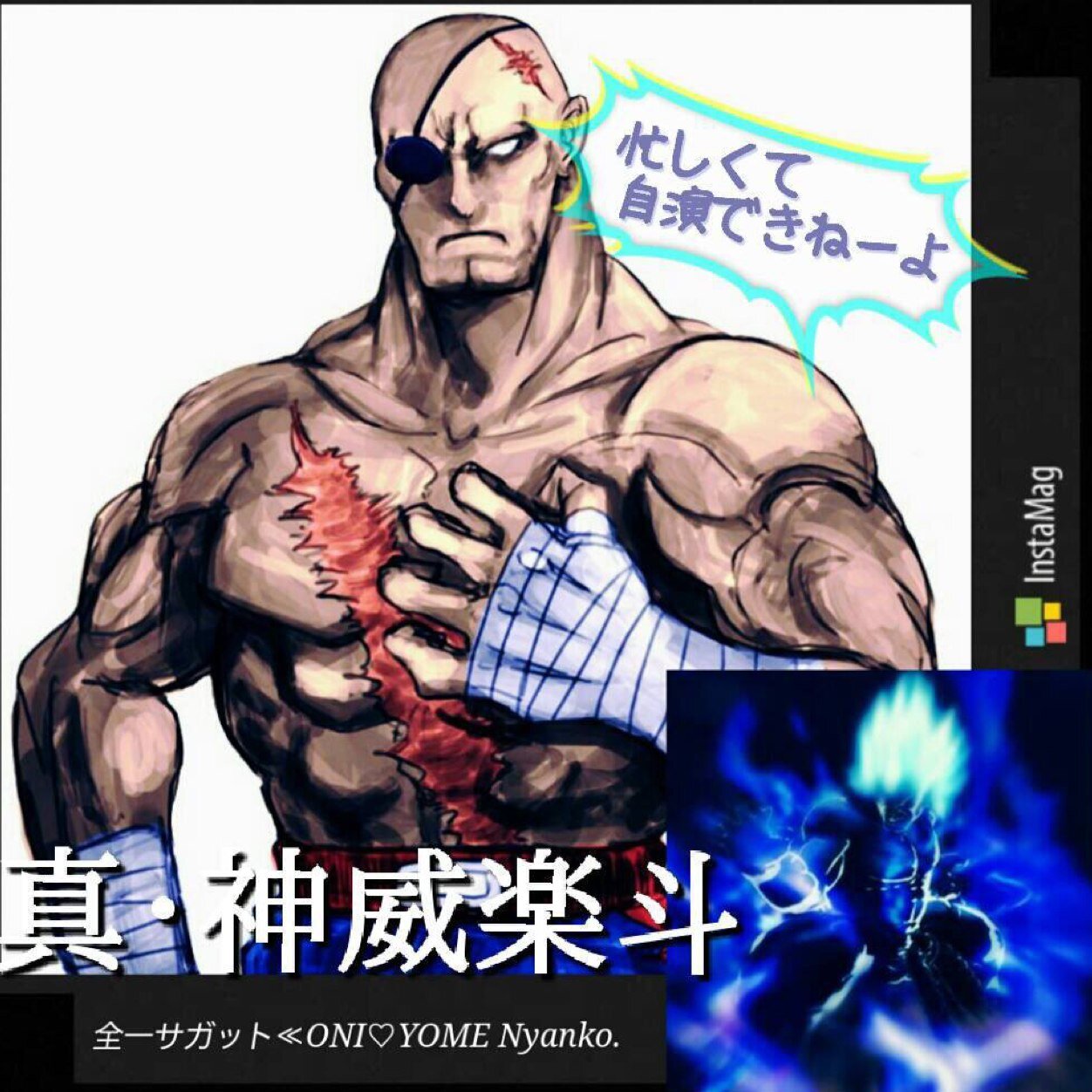 ウル4界の2DGOD 箱タグ CAMUI GACKT 気軽にフレンド申請して下さい✨ ザンギ ホーク ルーファスなら喜んでイジメるので是非やりましょう！