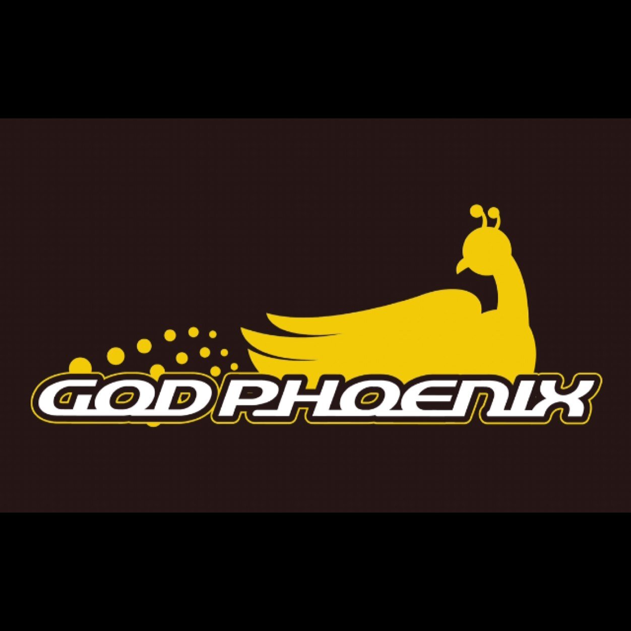 God Phoenix Finswimming Team Official Account. 体験会を再開しました。