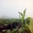 Nandanvarier's profile image