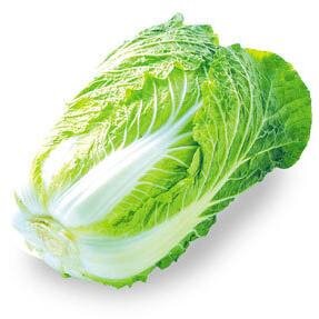 Yudetahakusai's profile picture. 1986年生、ITクラーク。大阪生まれ東京在住。休日は街中ぶらぶら散策。フリーペーパーとゆでた白菜と悩みごとが好物。