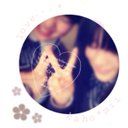 かほやん (@0508_satoshi) Twitter