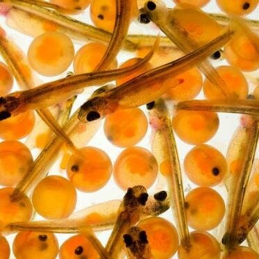 BillBakke's profile picture. 