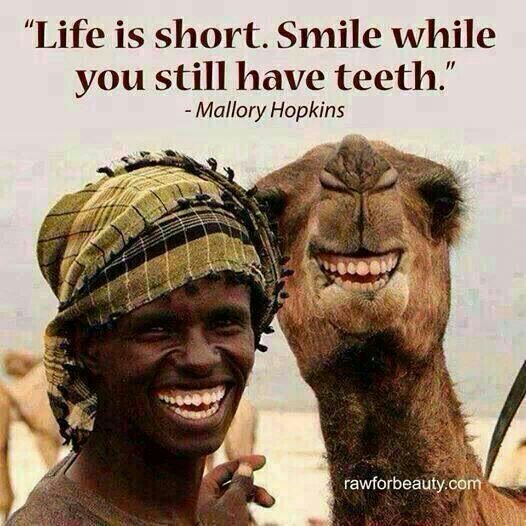 Almatruod's profile picture. Economist