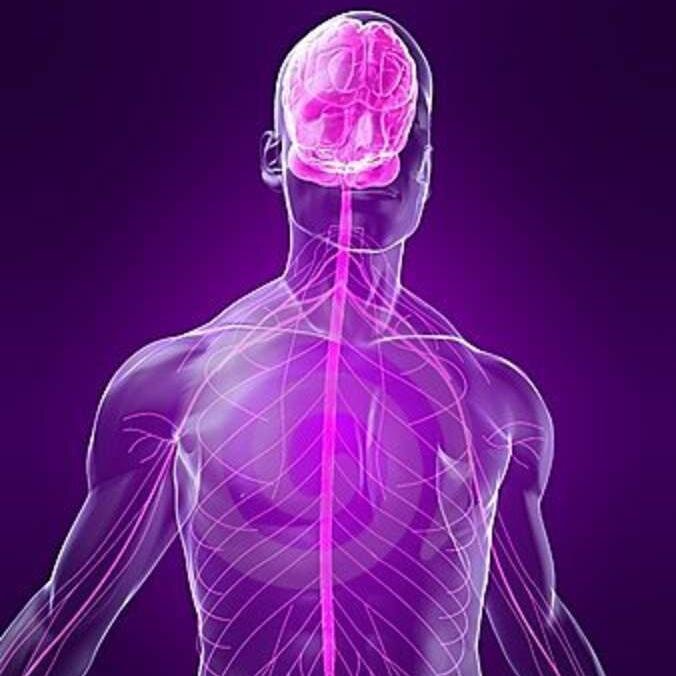 Edublogupel's profile picture. 