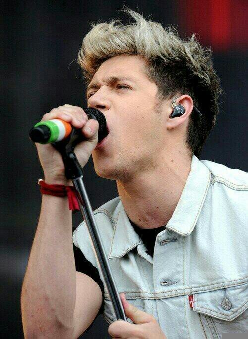 se eu te segui é pq o niall te ama