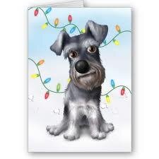 sags1977's profile picture. 