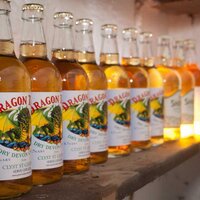 Cider Steve (@cider_steve) Twitter profile photo