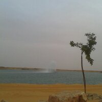 وليد (@d3619626bfc944b) 's Twitter Profile