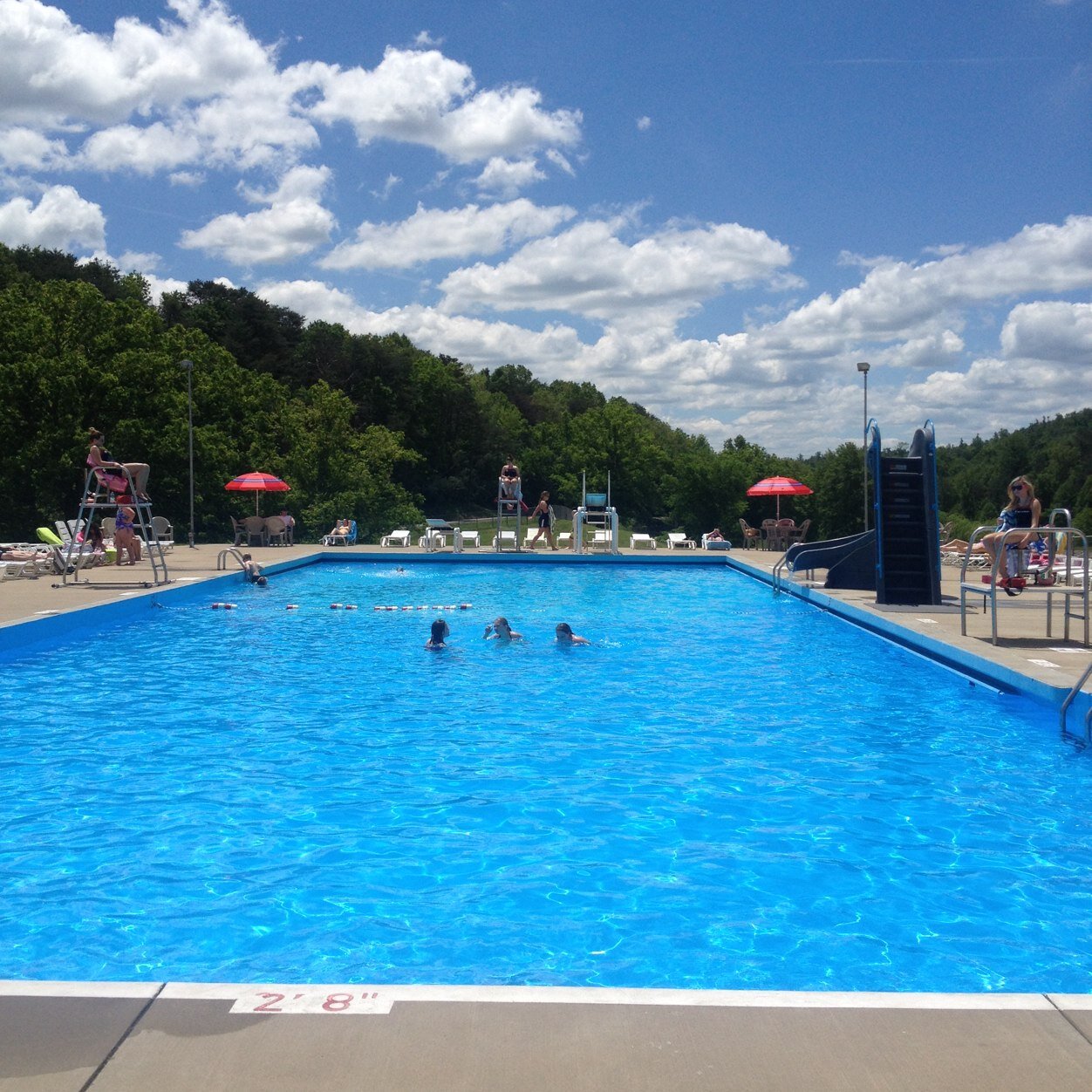 FMCClubPool's profile picture. FMC: Where the pool is cool, but the lifeguards are cooler!