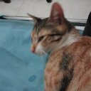 eric xena martinez - @eric_xena - Twitter