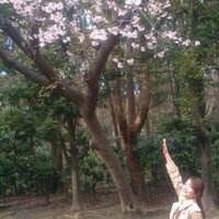 mochiko (@7mochiko) Twitter profile photo
