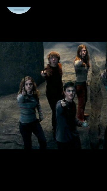 lerman_rose's profile picture. 