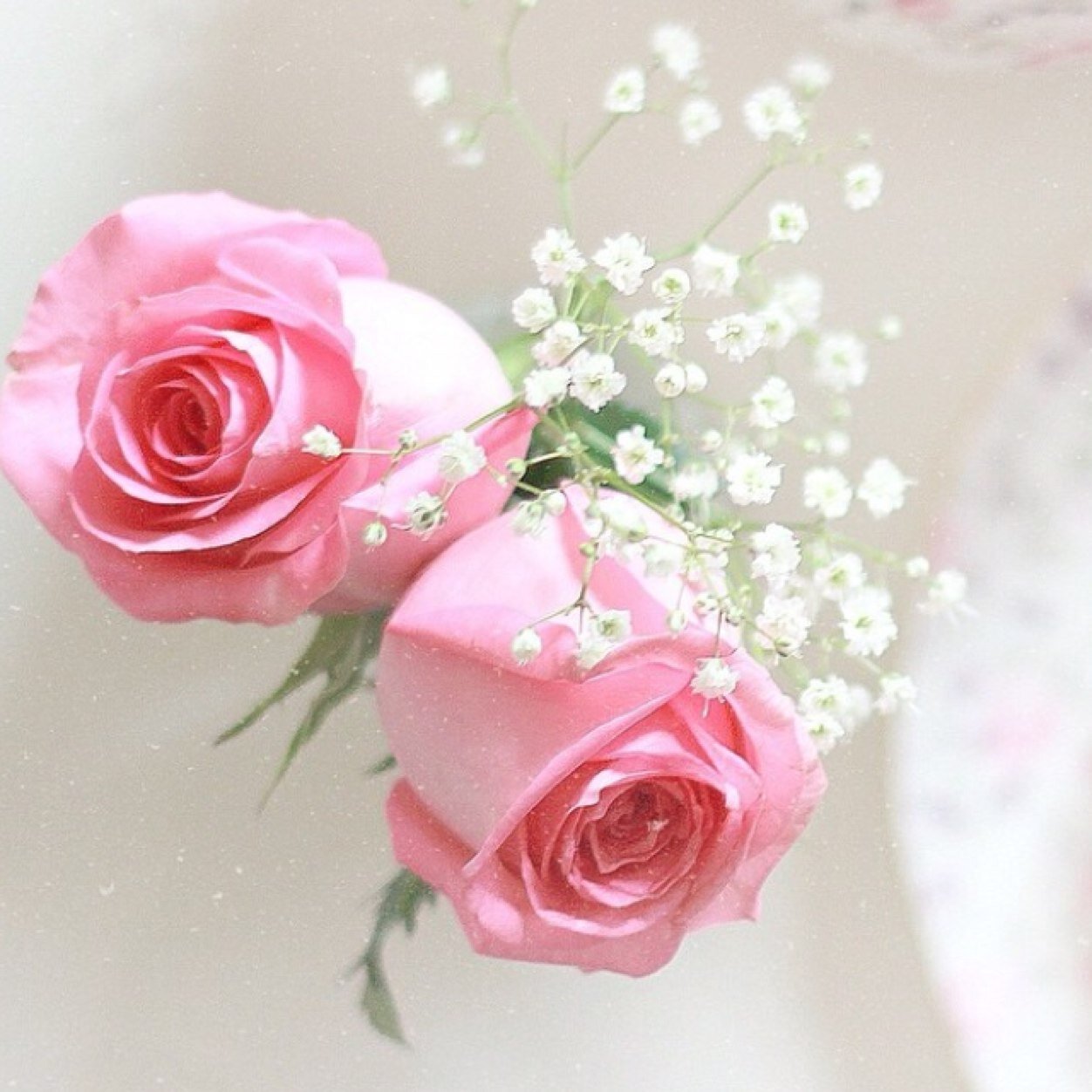 aaspd's profile picture. وفردوساً عاليا ي خالقي 
        أكتبه لنا أجمعين ♡