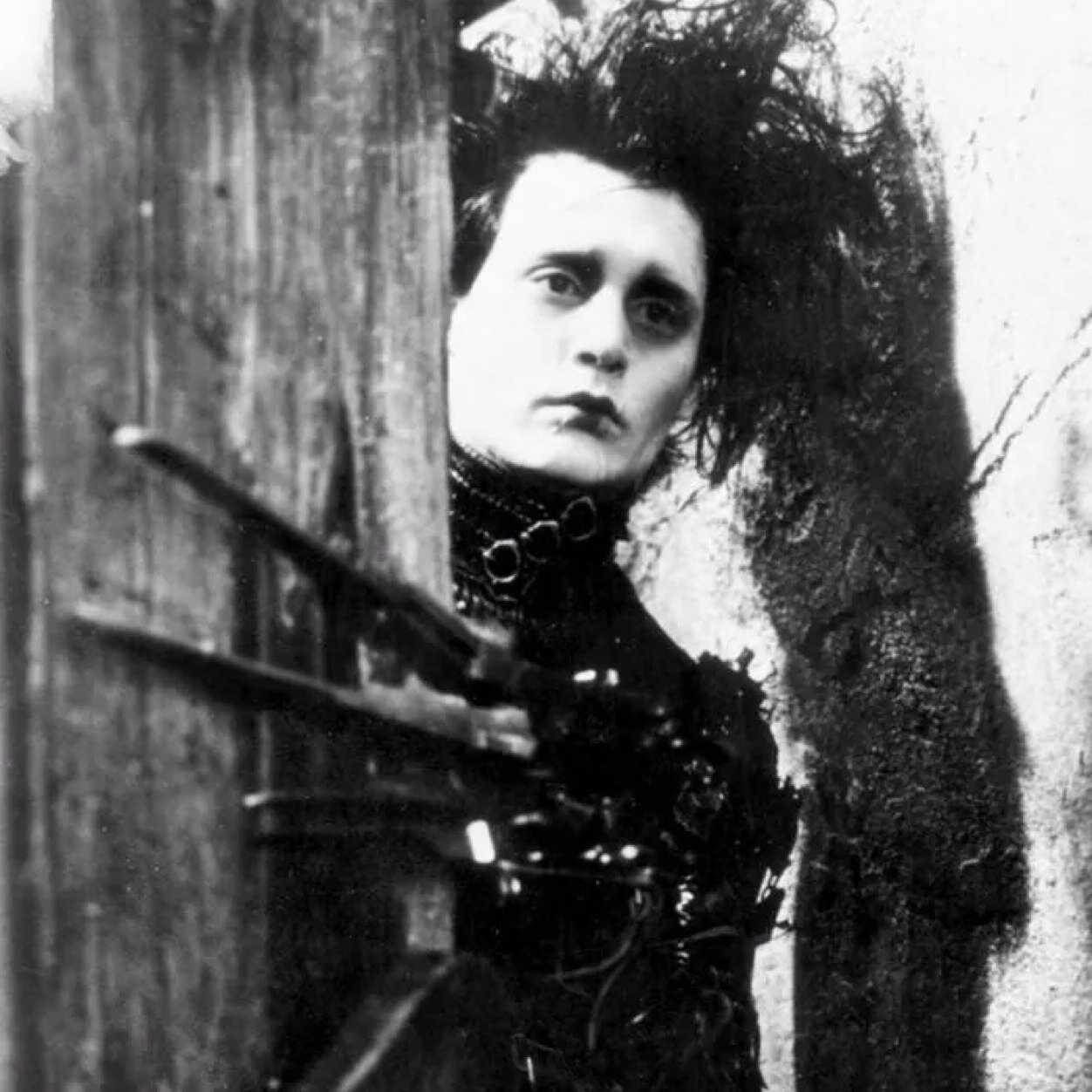 temocristo's profile picture. 