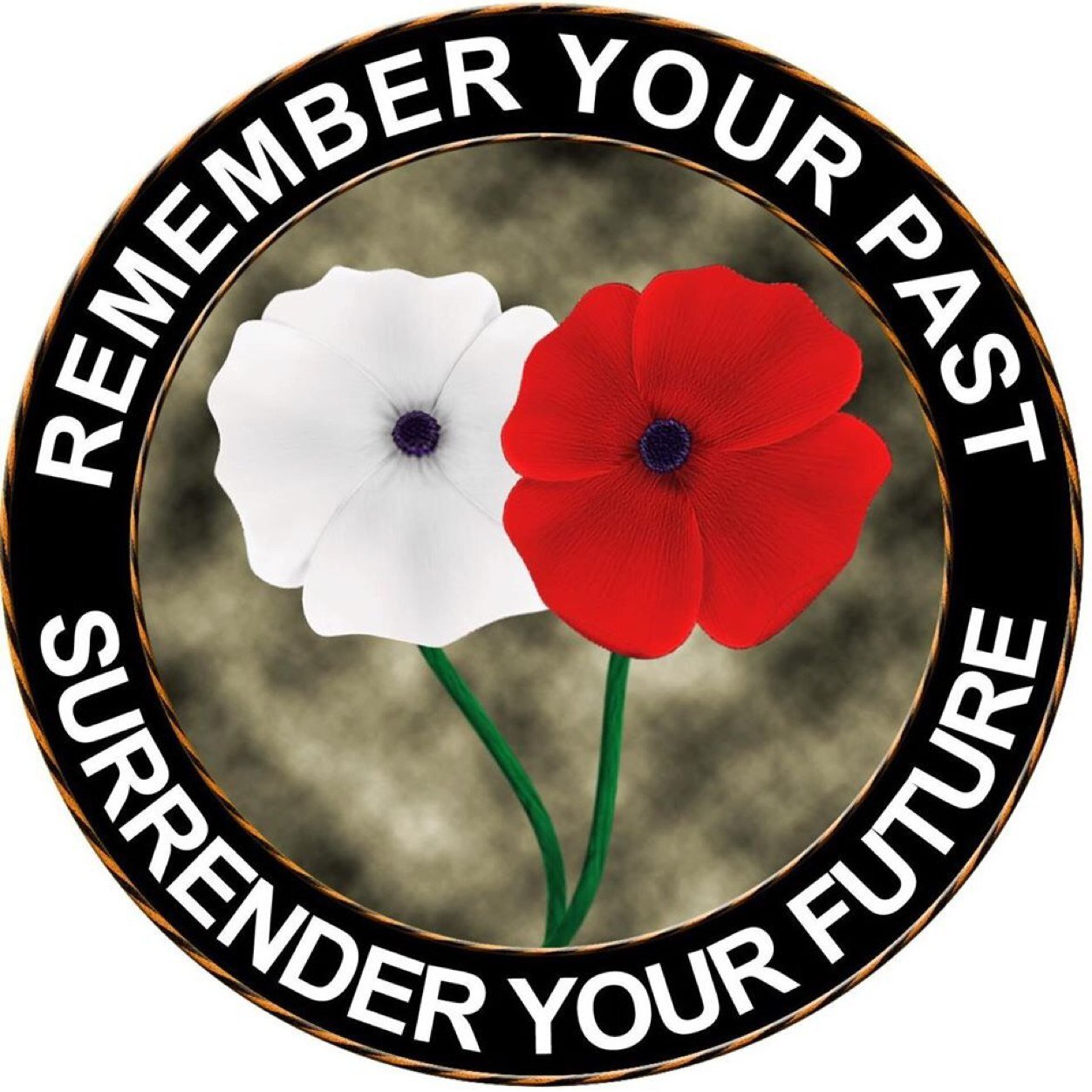 Project 'C' one of the very few Veteran and their families Addictition Service, for Veterans who find their past life difficult and now want to live again.