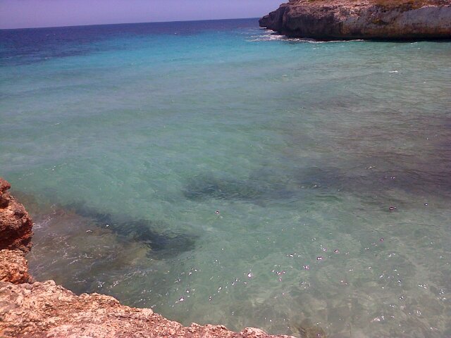 xpenamartinez's profile picture. Casteller de la Colla Vella per sempre