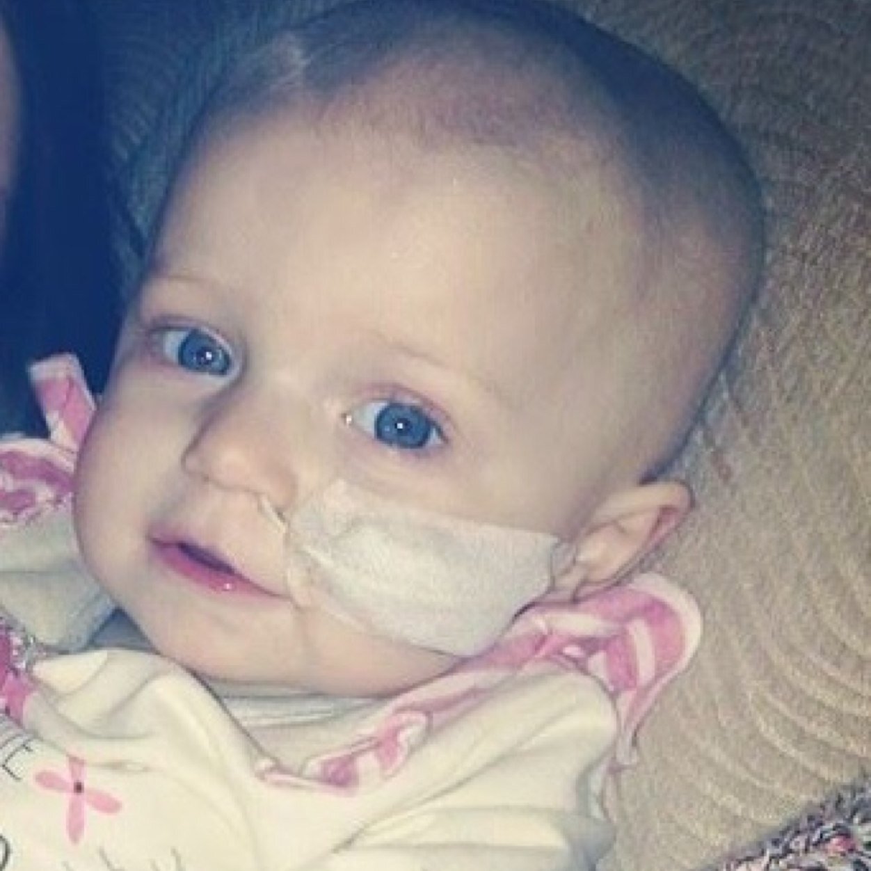 graciefox83's profile picture. Im gracie,just 2 years old and i was recently diagnosed with Acute Lymphoblastic Lukemia (ALL) im doing really well, even began walking again!