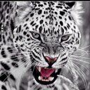 Ron Marino - @ronmarino09 - Twitter