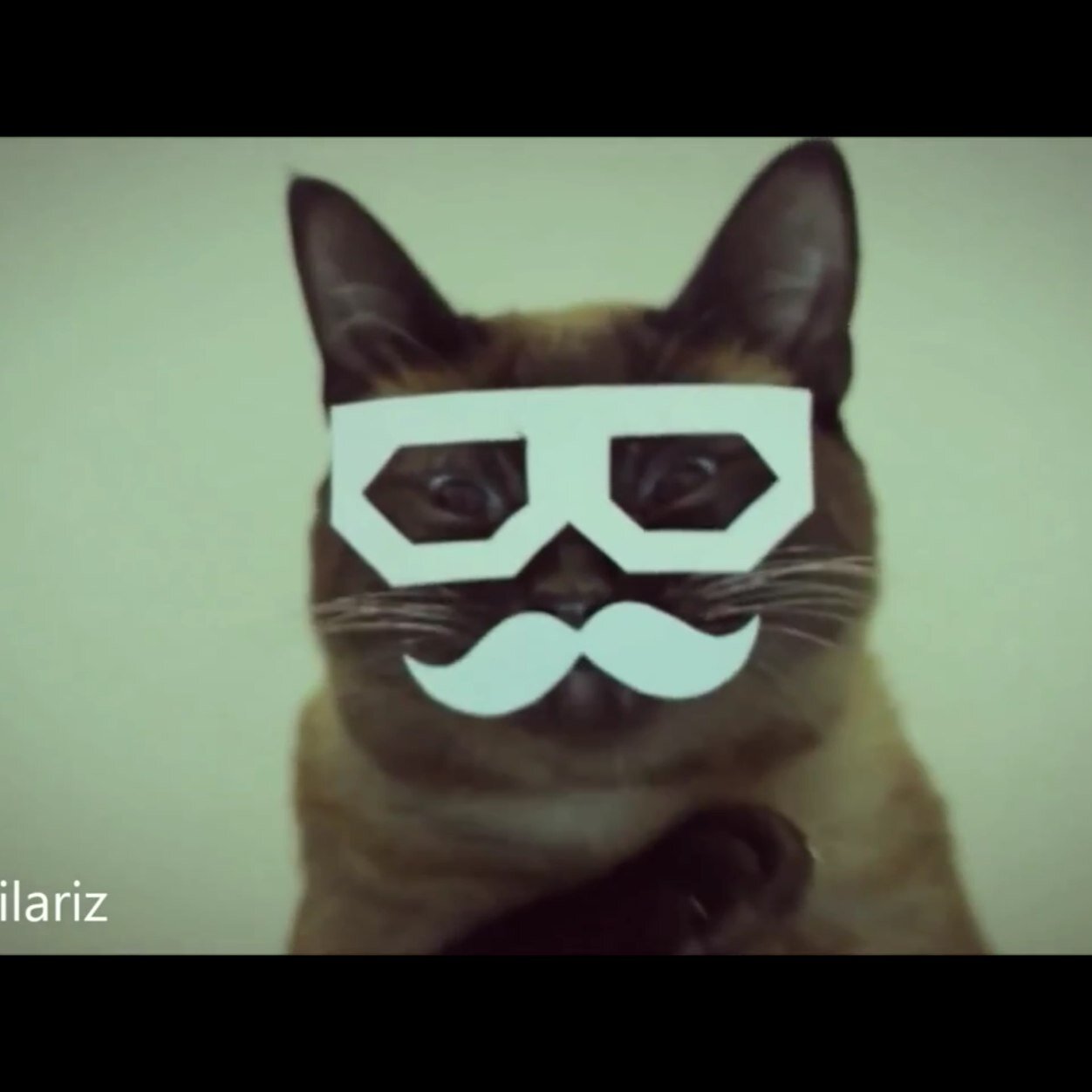 drvigge678's profile picture. 