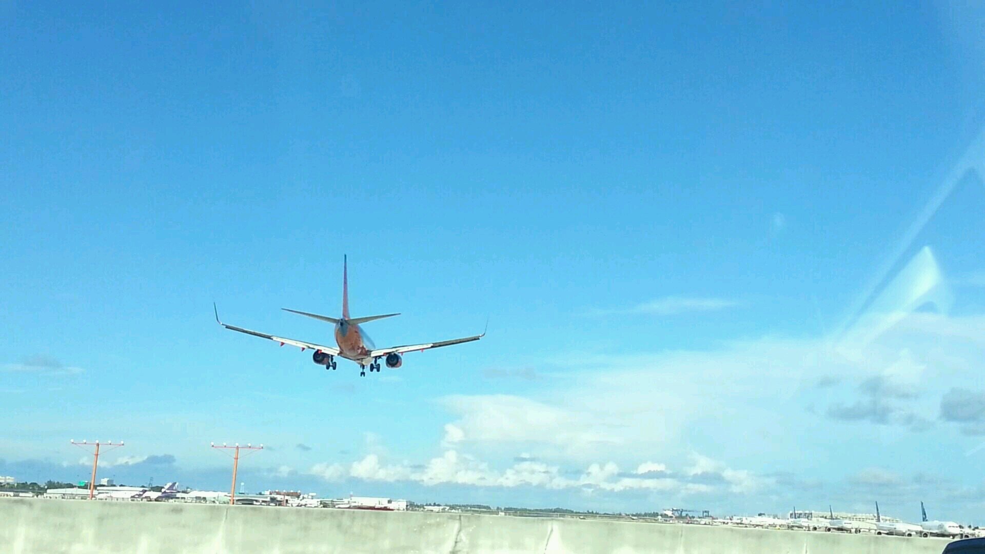 MurciaPatricia's profile picture. 