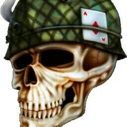 JayTankOShea's profile picture. 