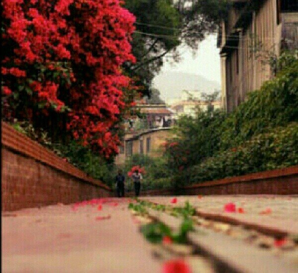 hano2711's profile picture. طالبه جامعيه هدفي هو  إرضاء ربي و والدتي وتحقيق أمنيتي بكل خطوه في حياااااتي *