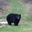 Kirk Webb - @irkw561 - Twitter