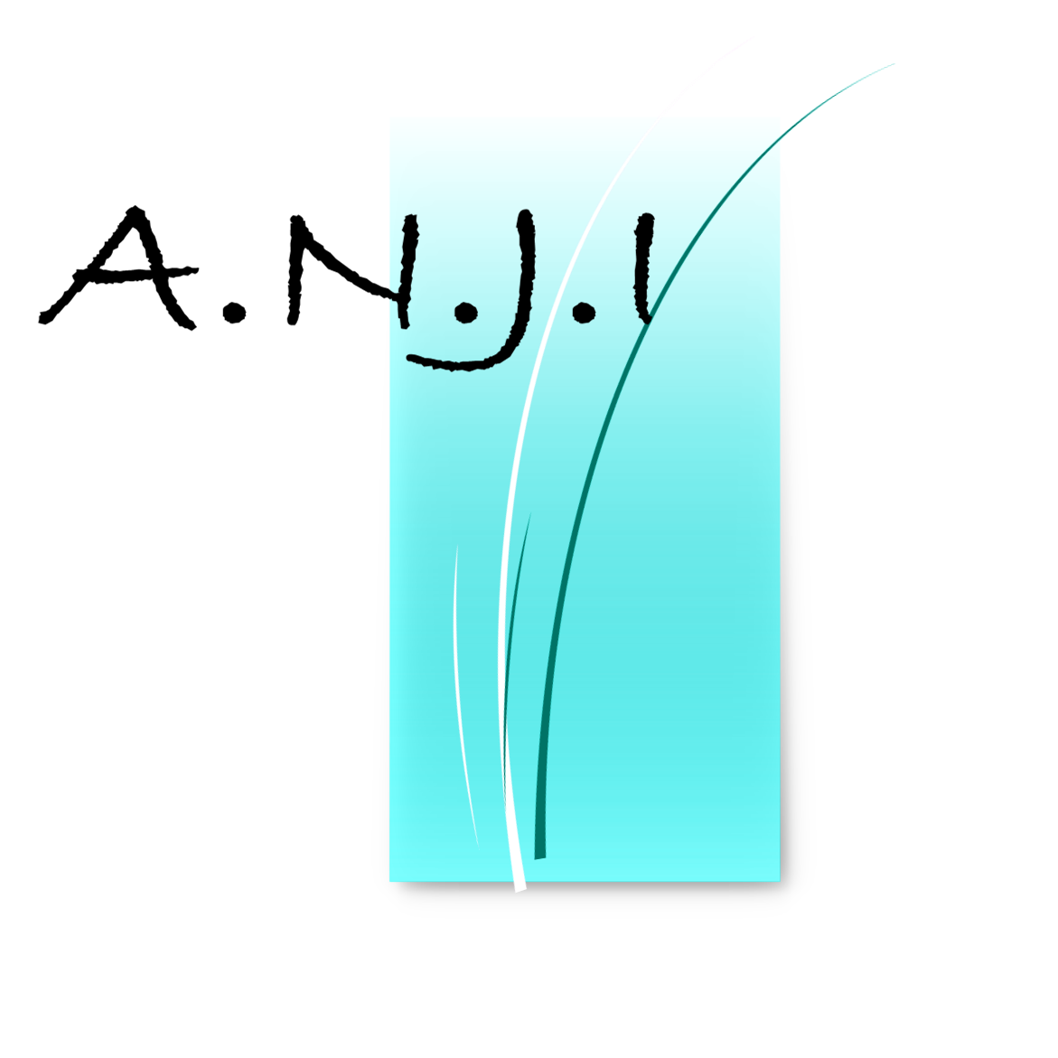 A.N.J.I 