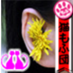 いたち2本飼い。風(ピーターソン♀2017・1・11生まれ)はち(マーシャル♂2019・9・23生まれ)くん(2019.3・12🌈)相撲部、アンチG党、ゆるくにょろりとやってます(・◎・)ノ
