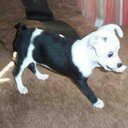 Julia Walton - @juliqwalton - Twitter