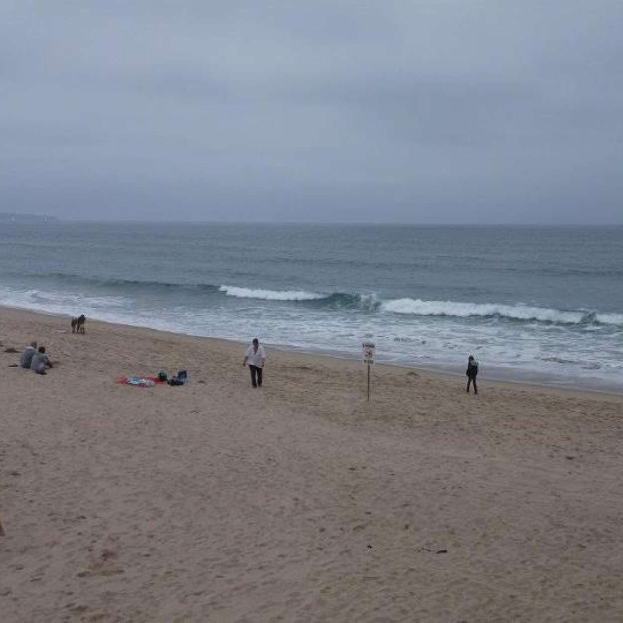 LoriWarren11's profile picture. 