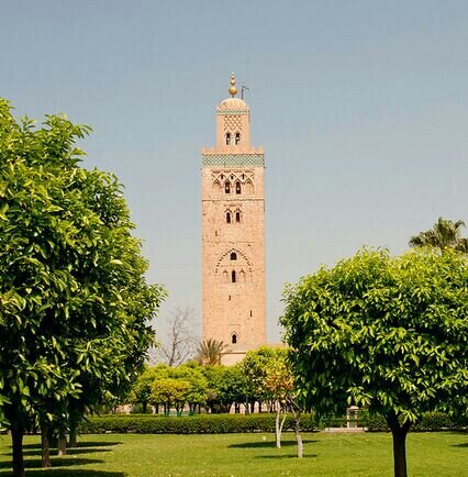 khalidzou71's profile picture. 