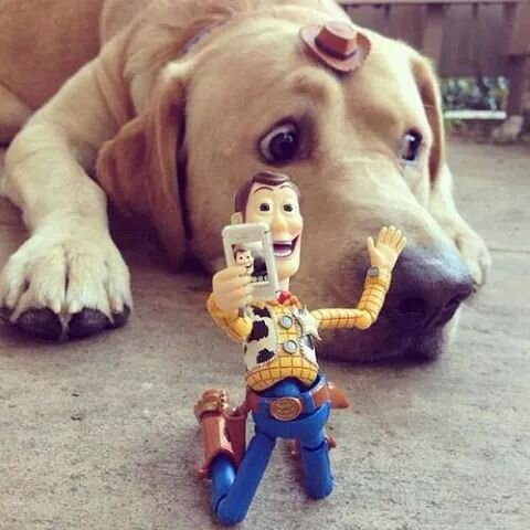 monika3339's profile picture. 