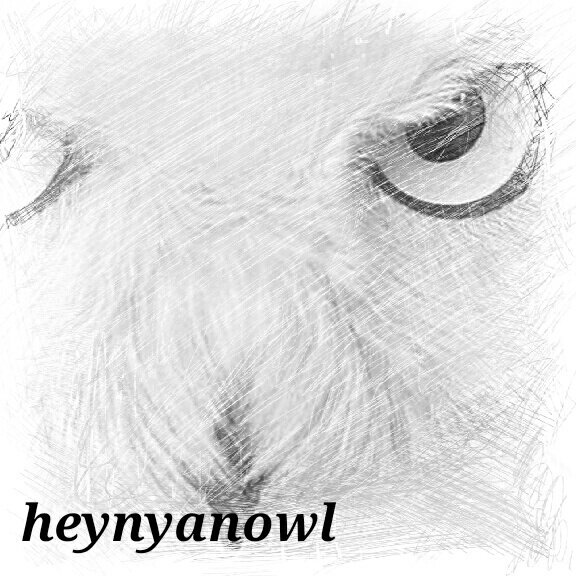 Всегда открыт для общения, собственно вот ... #owl