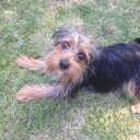 Sabrina Spence - @sabrinaspence_7 - Twitter